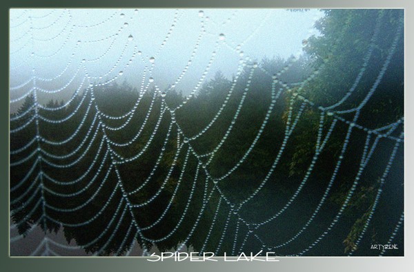 spider lake 