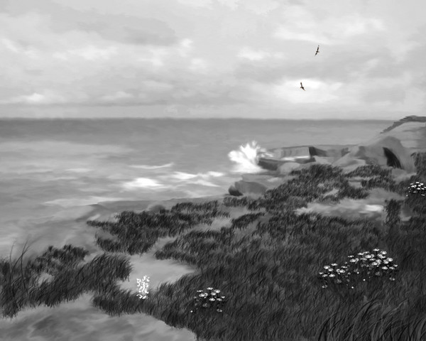 SEASCAPE B/W