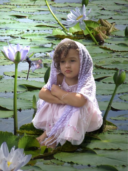 Lilly in the Lillies