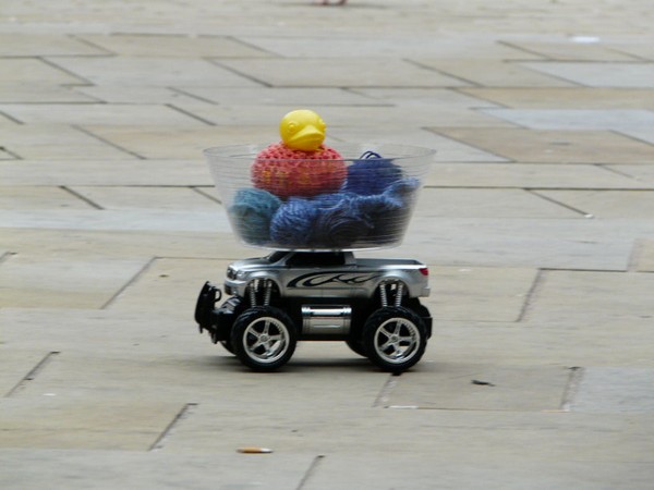 Duck Travels