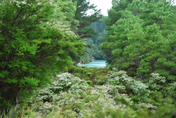 Paradise. Wai o Tapu. Rotorua. NZ