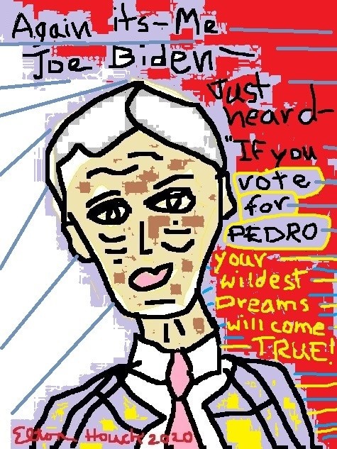 vote for pedro (c) 2020 elton houck