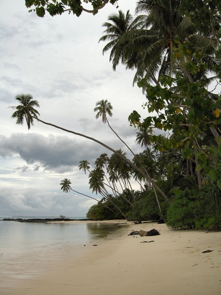 Virgin Cove, Samoa