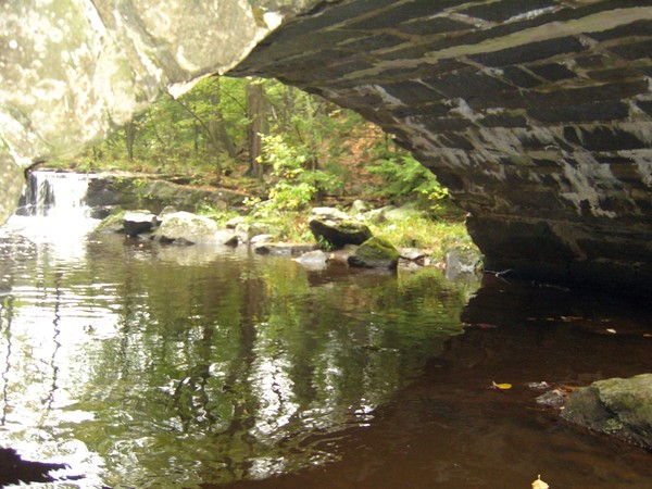 bridge underneath with stream