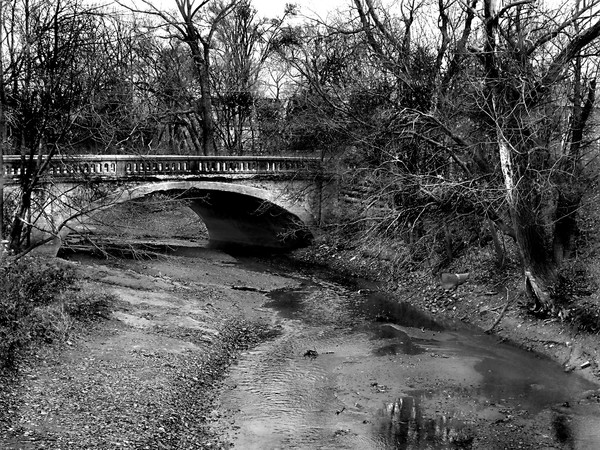 Bridge Over Creek