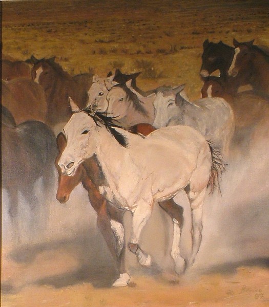 White horse...and few mules around him