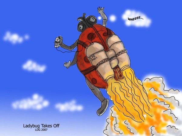 Ladybug Takes off