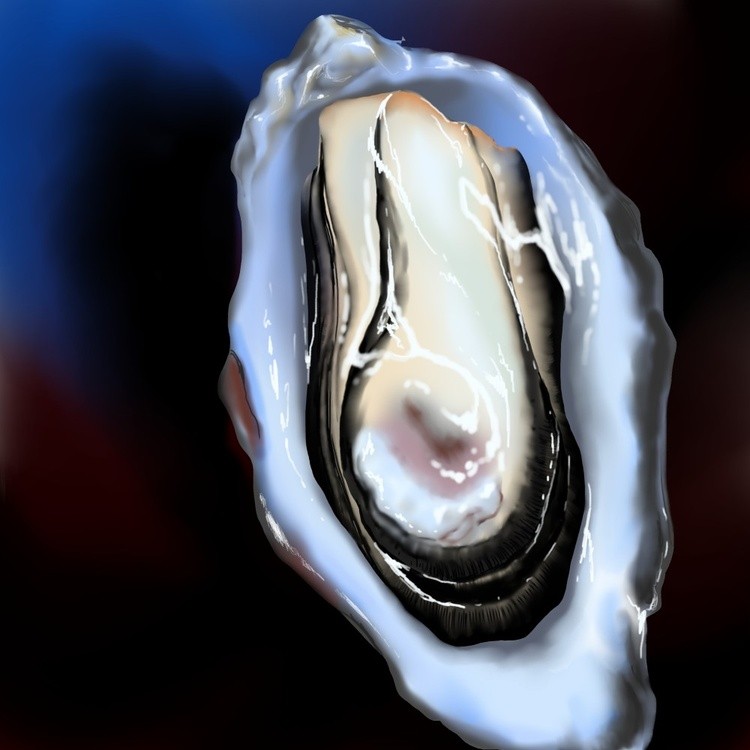An oyster