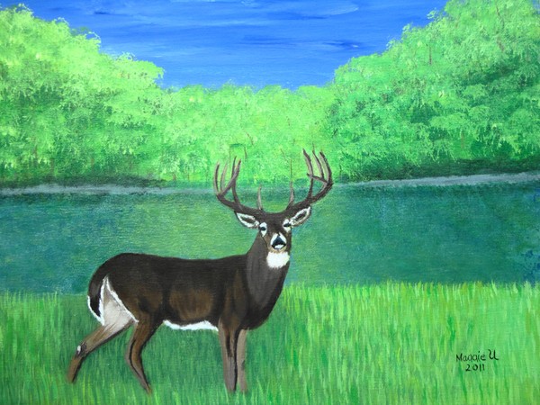 Buck by the river