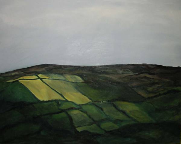 Fields and Moorland