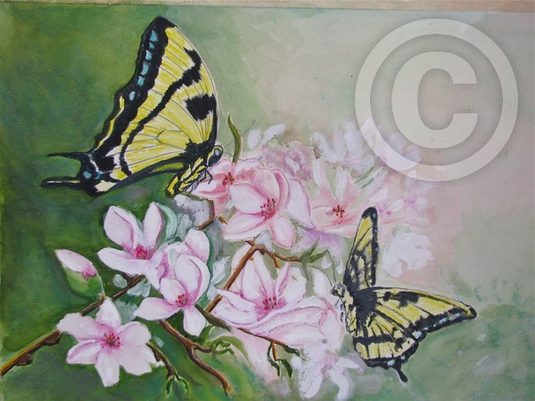 Swallowtails and Cherry Blossoms