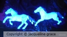 light horses