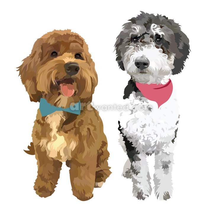 Labradoodles-and-Goldendoodles