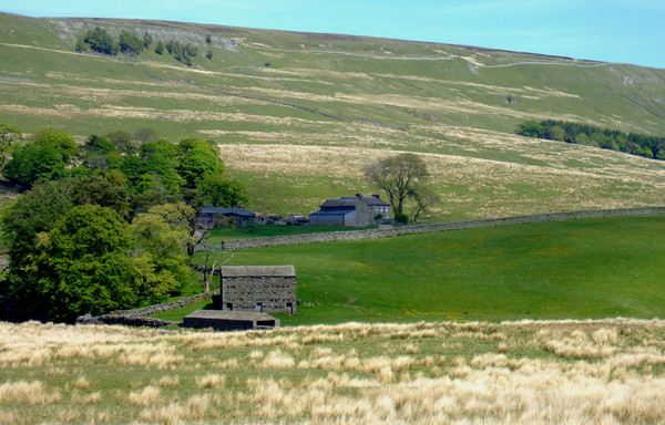 Cumbrian Landscape