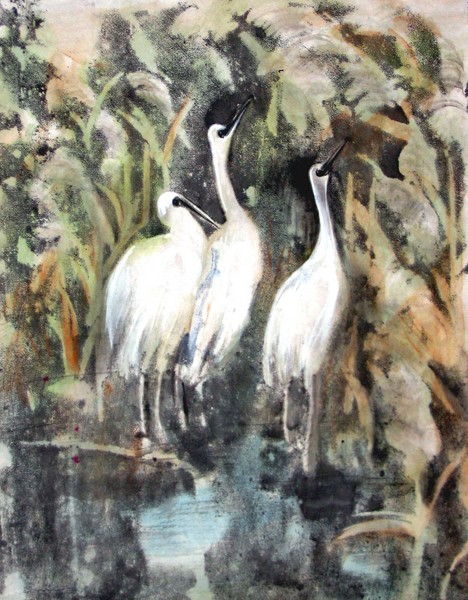 Birds in reedy marsh