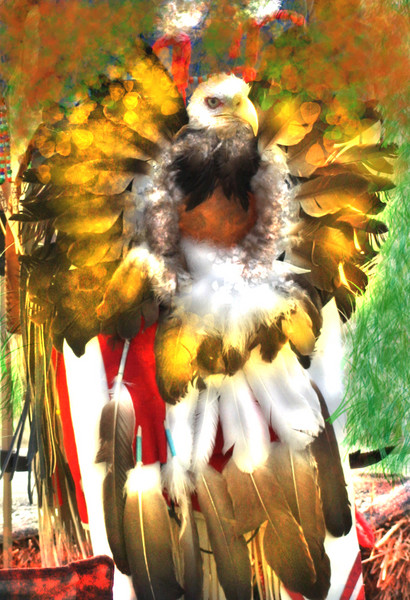 GOLDEN EAGLE DANCER