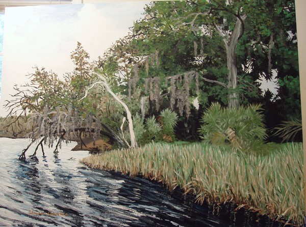 Alafia River, Florida #3