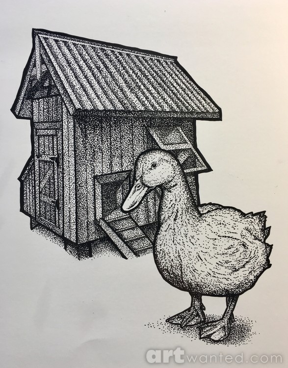 The Quack Shack II