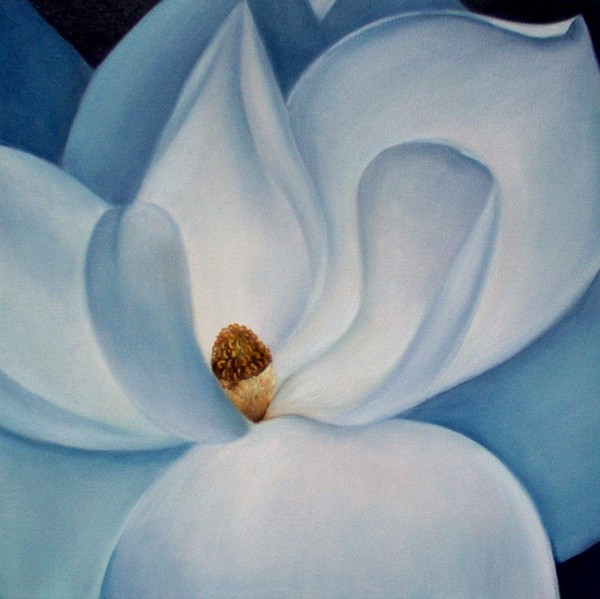 Magnolia