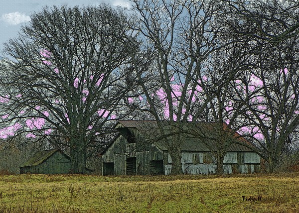 Barn on Frog Jump Road