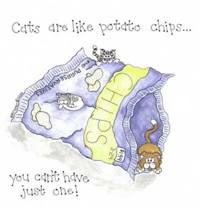  Cats are like Potato Chips...