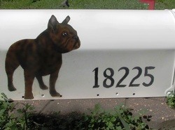 Dog breed Airbrushed Mailbox