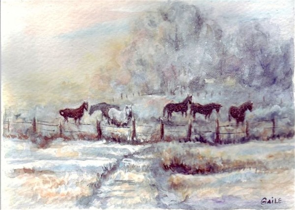 foggy horses wc