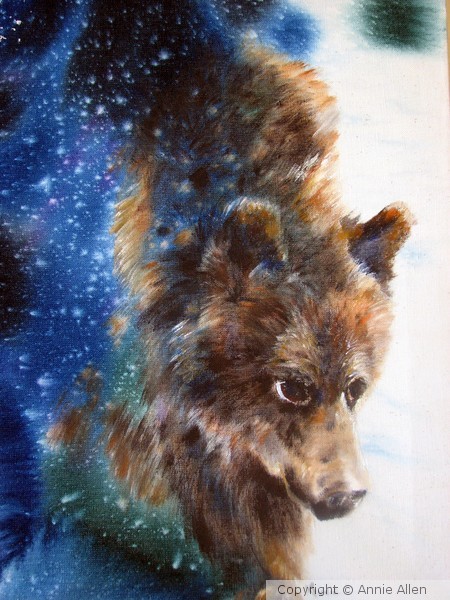 Bear Constellation