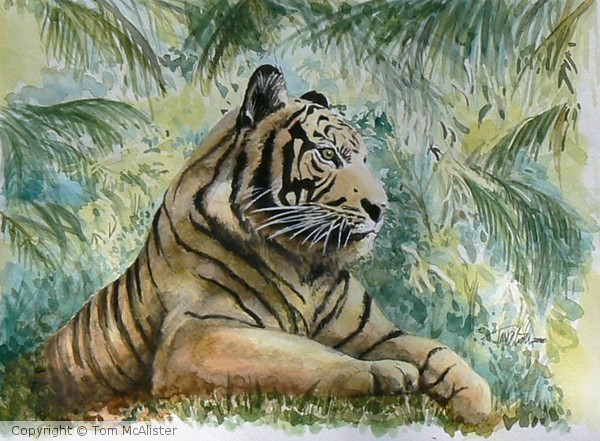Tiger at Rest
