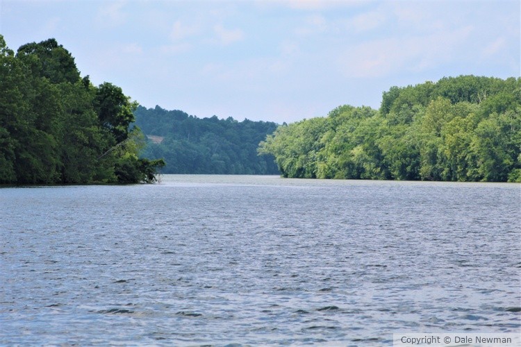 Ferry Crossing 6-11-21(2)