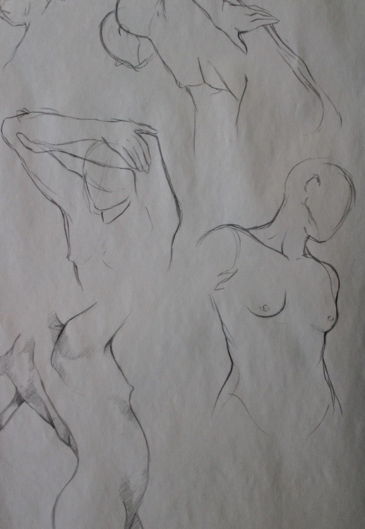 Model Study