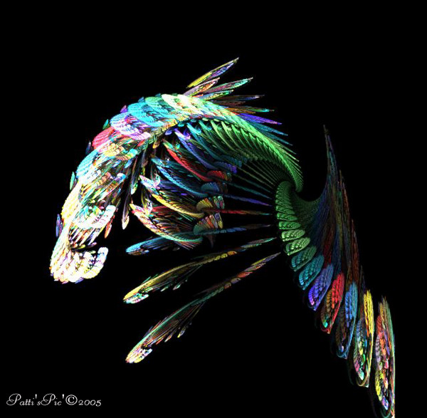 Colorful Feathers