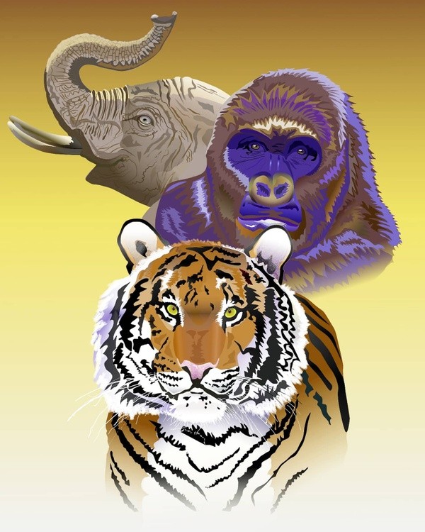 Wildlife Portrait of Tiger, Gorilla and Elephant