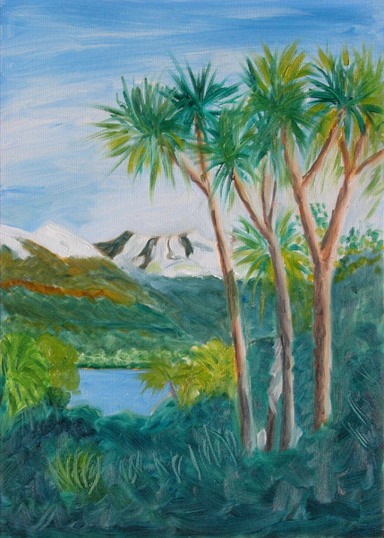 New Zealand Palms