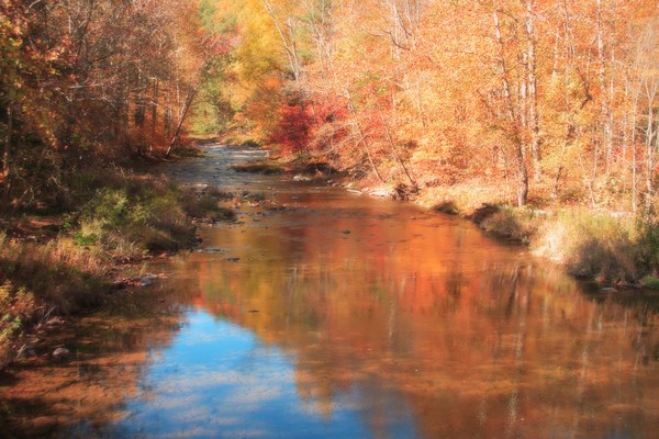 Autumn Stream