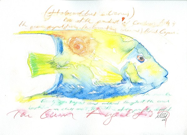 fish-WATERCOLORS,22