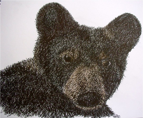 Bear cub