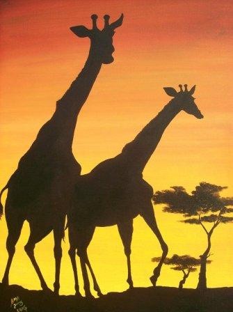 Giraffes II