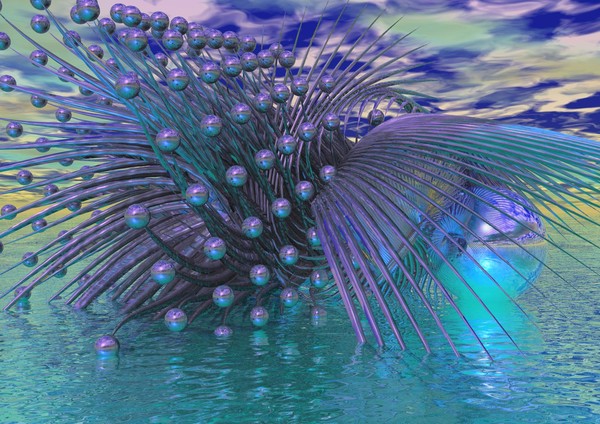 Peacock