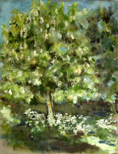 chestnut tree in flower field