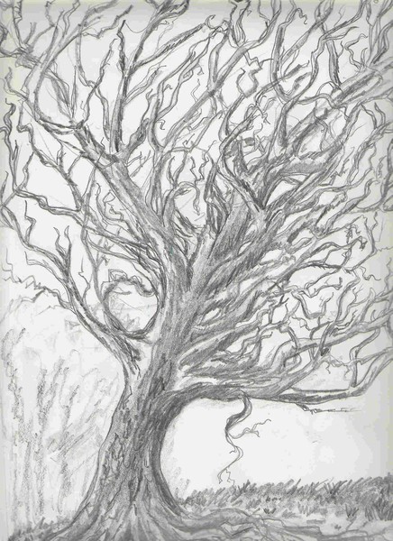 Tree #1