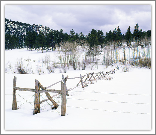 Fence in Snow, Manhattan Road, CO