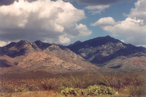 Mount Wilson Shadows