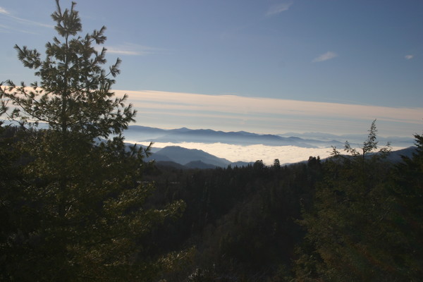 Smokey Mountain Splendor