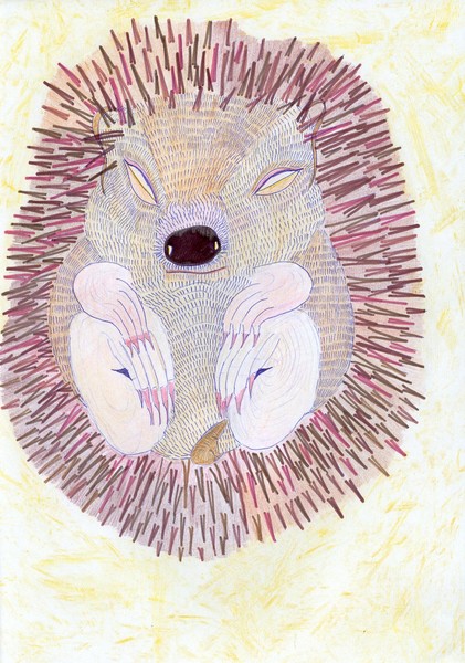 hedgie1