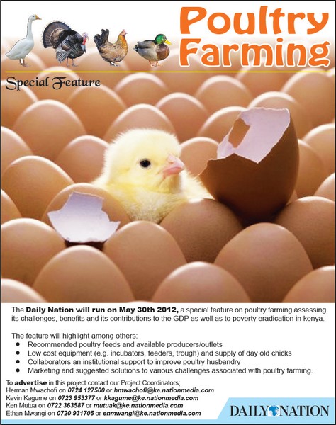 poultry farming promo