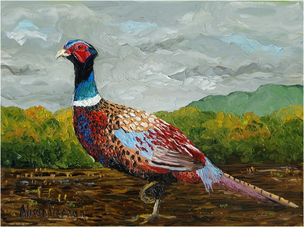 Pheasant in a Field