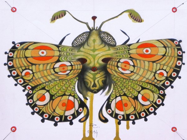 Moth (sold)