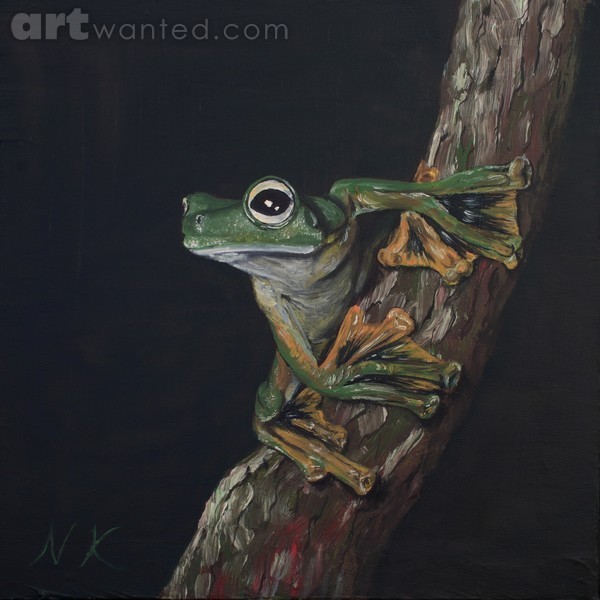 Wallace’s Flying Frog
