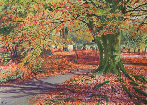 Autumn Leaves in Savernake Forest